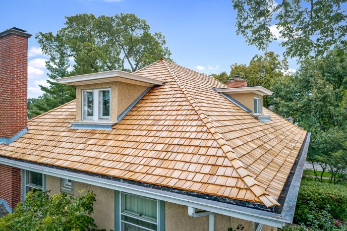 Shingles roofing roof