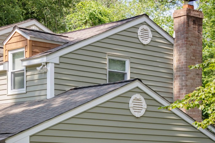 Siding vinyl house roof lockport cons roofing much sins deadly contemporary pros call now