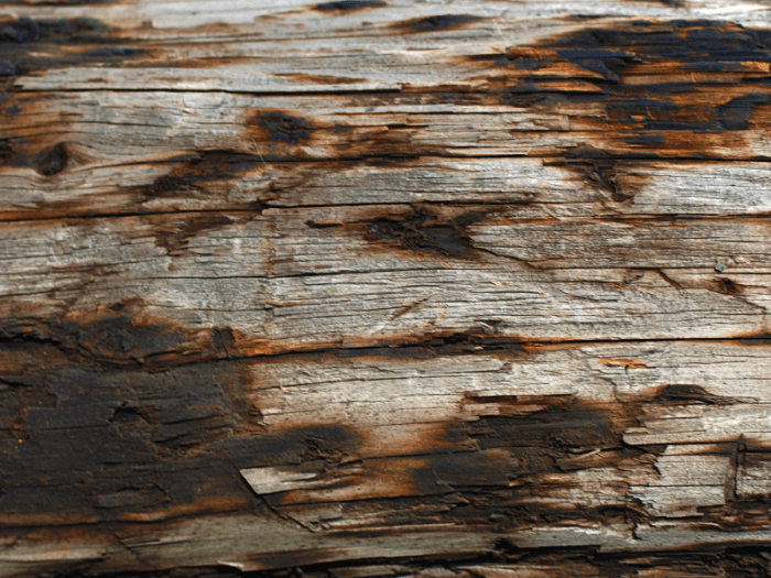 Wood burnt texture freeimages stock