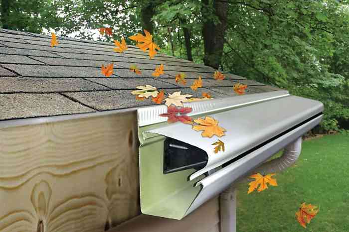 Gutter guards reverse